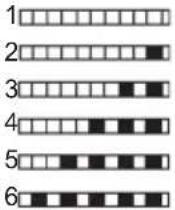 IFB Neptune VX2 Plus - Test Strip - 5