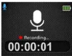 Recording... 00:00:01
