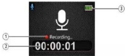 Recording... 00:00:01