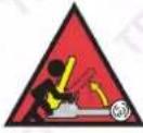 T-Rex TFJ-12 - Safety Symbols - 28