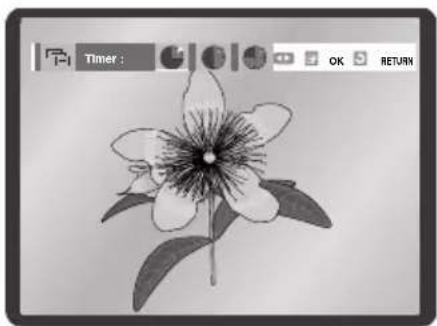 SAMSUNG DVD-V7575 - Slide show - 2
