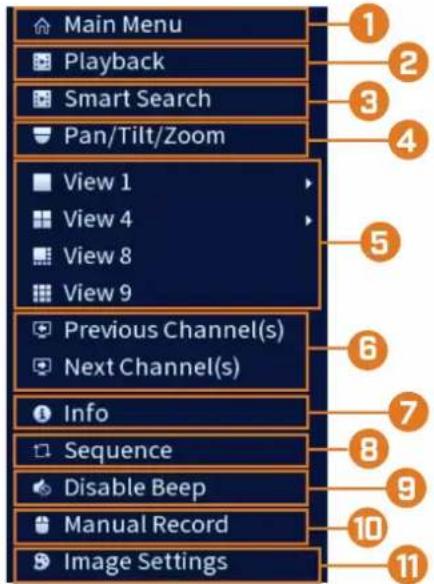 Main Menu Playback Smart Search Pan/Tilt/Zoom View 1 View 4 View 8 View 9 Previous Channel(s) Next Channel(s) Info Sequence Disable Beep Manual Record Image Settings
