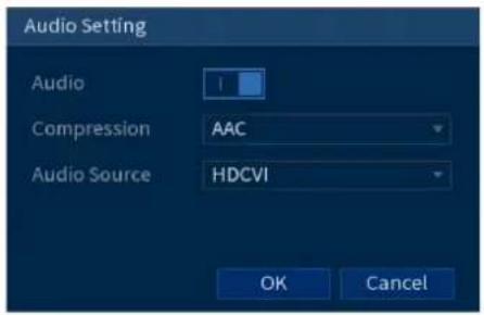 Audio Setting Audio Compression AAC Audio Source HDCVI OK Cancel