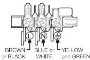 BROWN or BLACK BLUE or WHITE YELLOW and GREEN