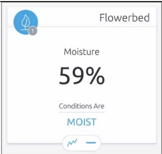 Flowerbed Moisture 59% Conditions Are MOIST