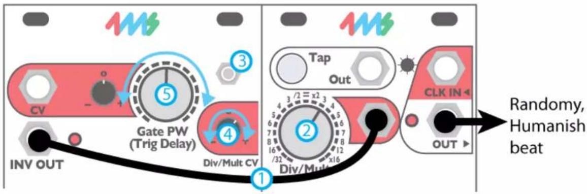 4ms QCD Expander Company - Creating "Humanness" and Motion - 1