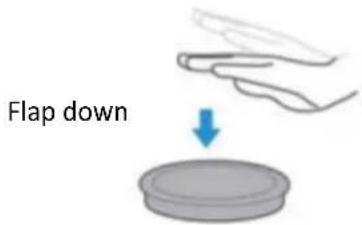 Flap down
