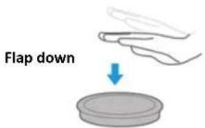 Flap down