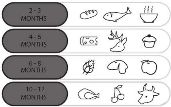 2 - 3 MONTHS 4 - 6 MONTHS 6 - 8 MONTHS 10 - 12 MONTHS
