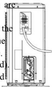 are the e . d) d
