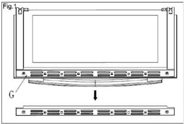 Fig.1 G