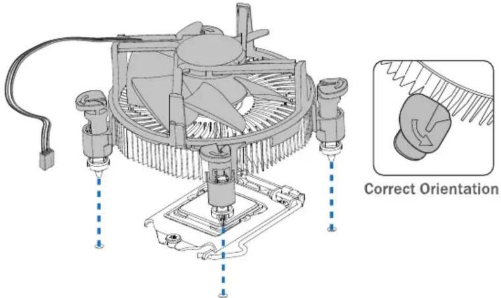Correct Orientation
