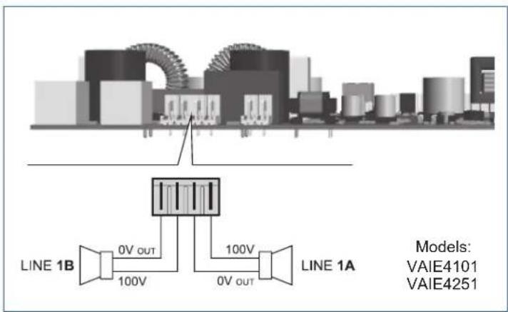 LINE 1B 0V OUT 100V 100V 0V OUT LINE 1A Models: VAIE4101 VAIE4251