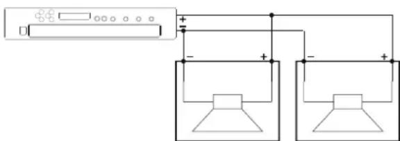 Diagram showing a device connected to two identical labeled control panels with polarity indicators.