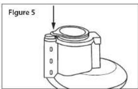 Figure 5