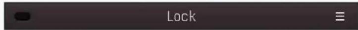 Lock