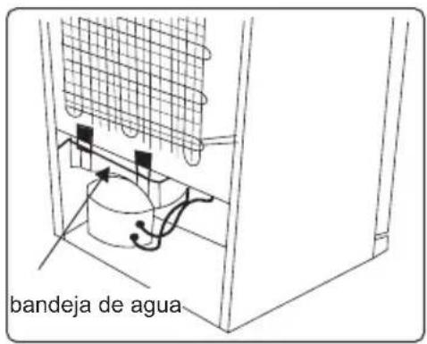 bandeja de agua