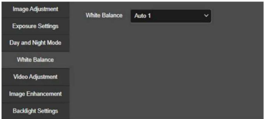 Image Adjustment Exposure Settings Day and Night Mode White Balance Video Adjustment Image Enhancement Backlight Settings White Balance Auto 1