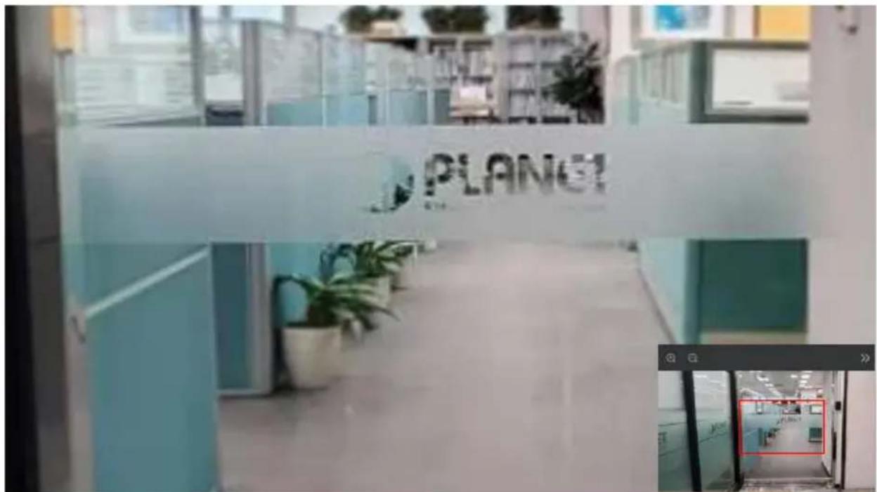 PLANO