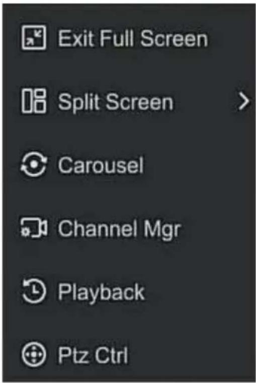 Exit Full Screen Split Screen > Carousel Channel Mgr Playback Ptz Ctrl