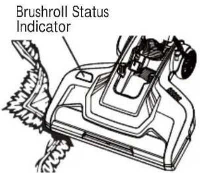 Brushroll Status Indicator