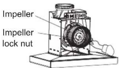 Impeller Impeller lock nut