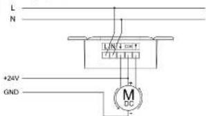 L N +24V GND M DC