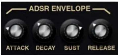 ADSR ENVELOPE ATTACK DECAY SUST RELEASE