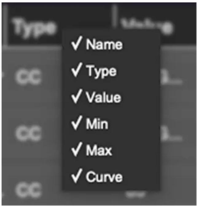 ✓ Name ✓ Type ✓ Value ✓ Min ✓ Max ✓ Curve