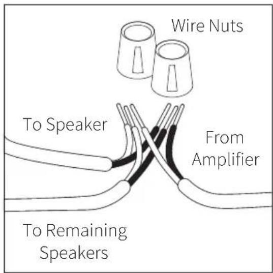 Wire Nuts To Speaker From Amplifier To Remaining Speakers