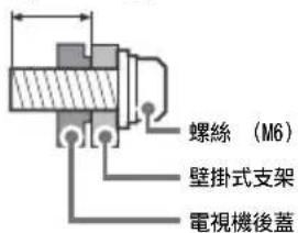 螺絲（M6） 壁掛式支架 電視機後蓋