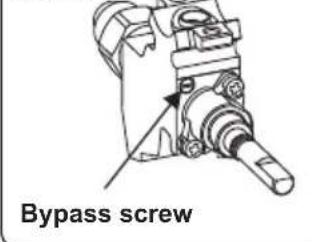 Bypass screw