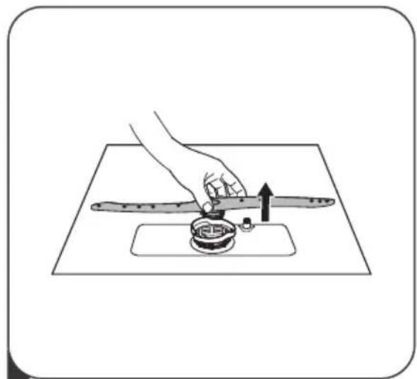 Artusi ADW5608 - Spray arms - 2