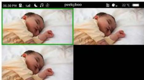 Peekyboo P1-RX-TX - Multiple Cameras Monitor Display Modes - 1