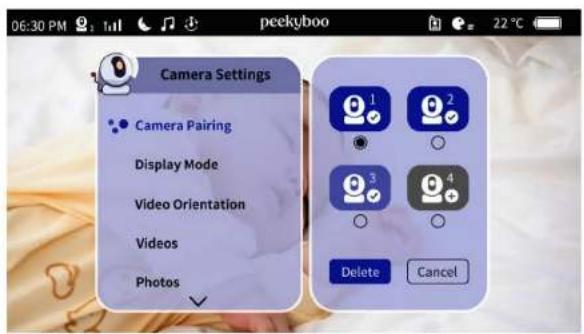 06:30 PM peekyboo 22 °C Camera Settings Camera Pairing Display Mode Video Orientation Videos Photos Delete Cancel