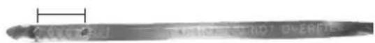 Generac G0057350 - CAUTION - 2