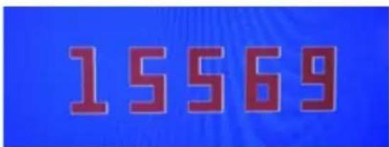 15569