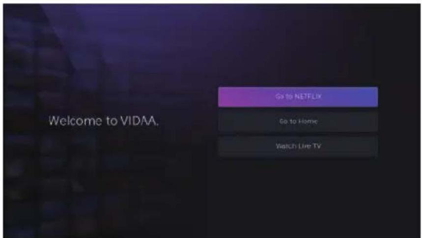 Go to NETFLIX Go to Home Watch Live TV Welcome to VIDAA.