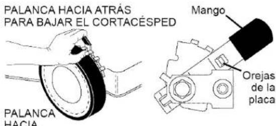 PALANCA HACIA ATRÁS PARA BAJAR EL CORTACÉSPED PALANCA HACIA Mango Orejas de la placa