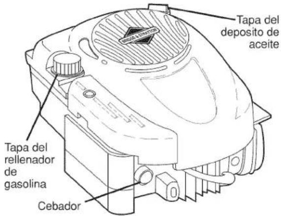 Tapa del deposito de aceite Tapa del rellenador de gasolina Cebador