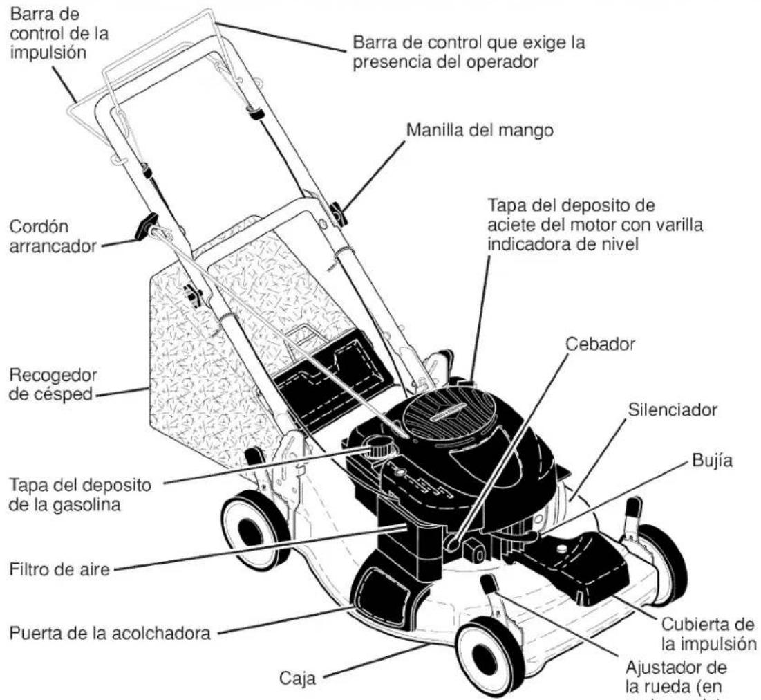 Barra de control de la impulsión Barra de control que exige la presencia del operador Manilla del mango Cordón arrancador Tapa del deposito de aciete del motor con varilla indicadora de nivel Recogedor de césped Cebador Silenciador Bujía Tapa del deposito de la gasolina Filtro de aire Puerta de la acolchadora Caja Cubierta de la impulsión Ajustador de la rueda (en cada rueda)