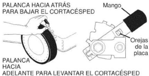 PALANCA HACIA ATRÁS PARA BAJAR EL CORTACÉSPED PALANCA HACIA ADELANTE PARA LEVANTAR EL CORTACÉSPED Mango Orejas de la placa