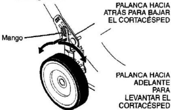 Mango PALANCA HACIA ATRÁS PARA BAJAR EL CORTACÉSPED PALANCA HACIA ADELANTE PARA LEVANTAR EL CORTACÉSPED