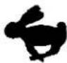 Craftsman 917.377665 - KNOW YOUR LAWN MOWER - 4