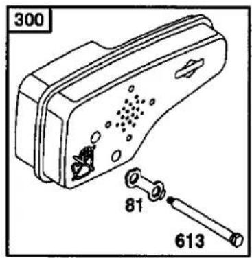 300 81 613