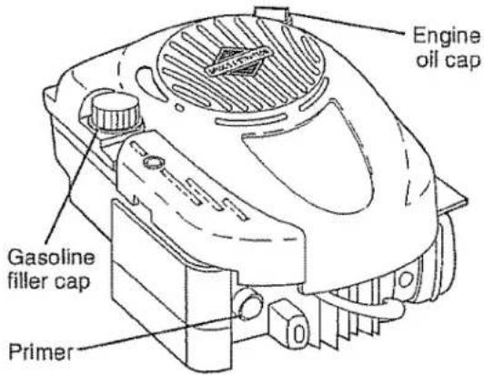 Engine oil cap Gasoline filler cap Primer
