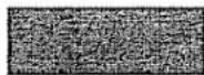 Craftsman 917.376658 - ЭНТ - 10