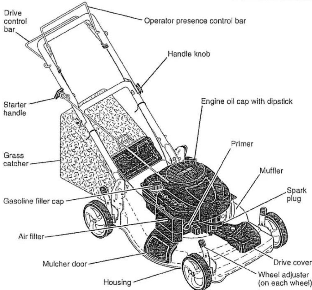 Drive control bar Operator presence control bar Handle knob Starter handle Engine oil cap with dipstick Grass catcher Primer Gasoline filler cap Muffler Spark plug Air filter Mulcher door Housing Drive cover Wheel adjuster (on each wheel)