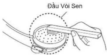 Đầu Vòi Sen