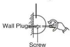 Wall Plug Screw
